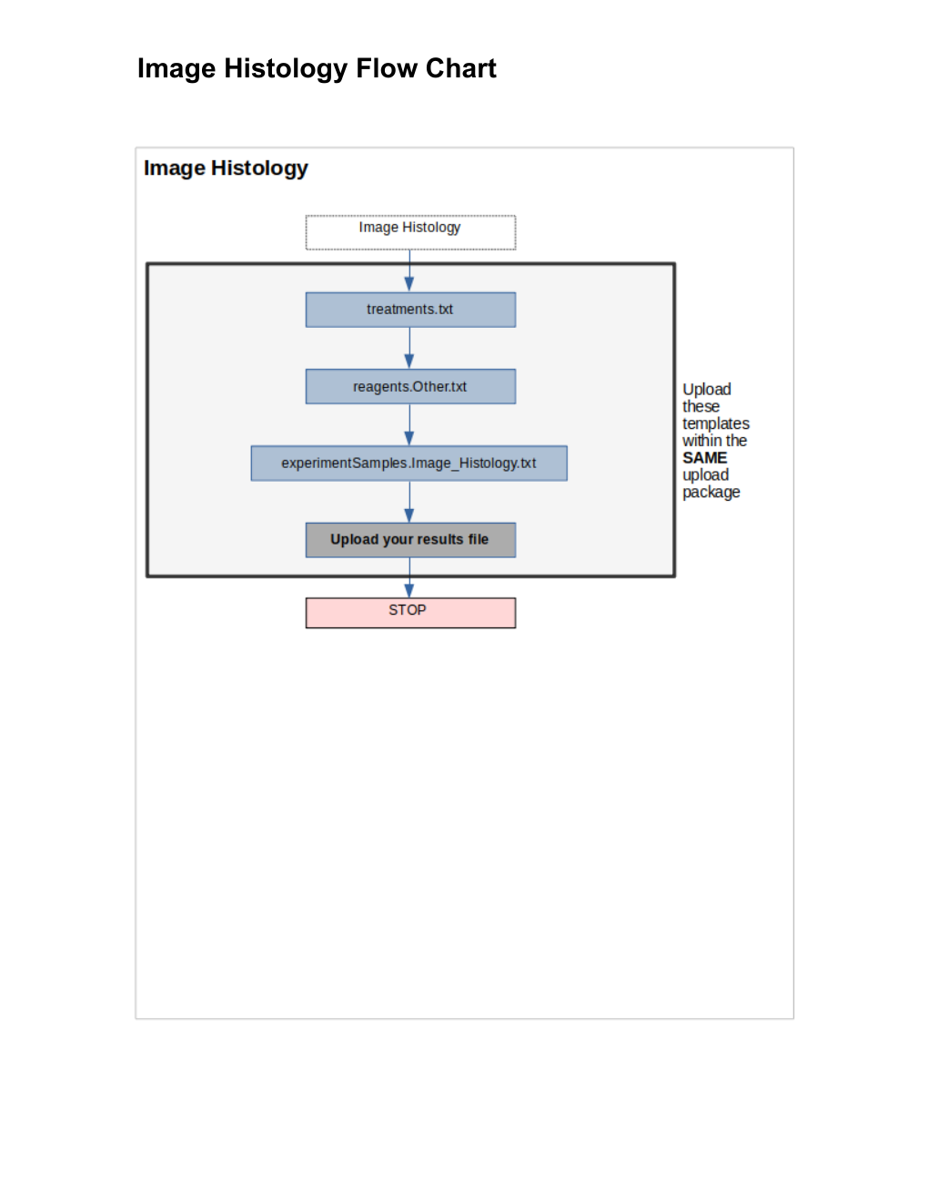 Image Histology flow chart